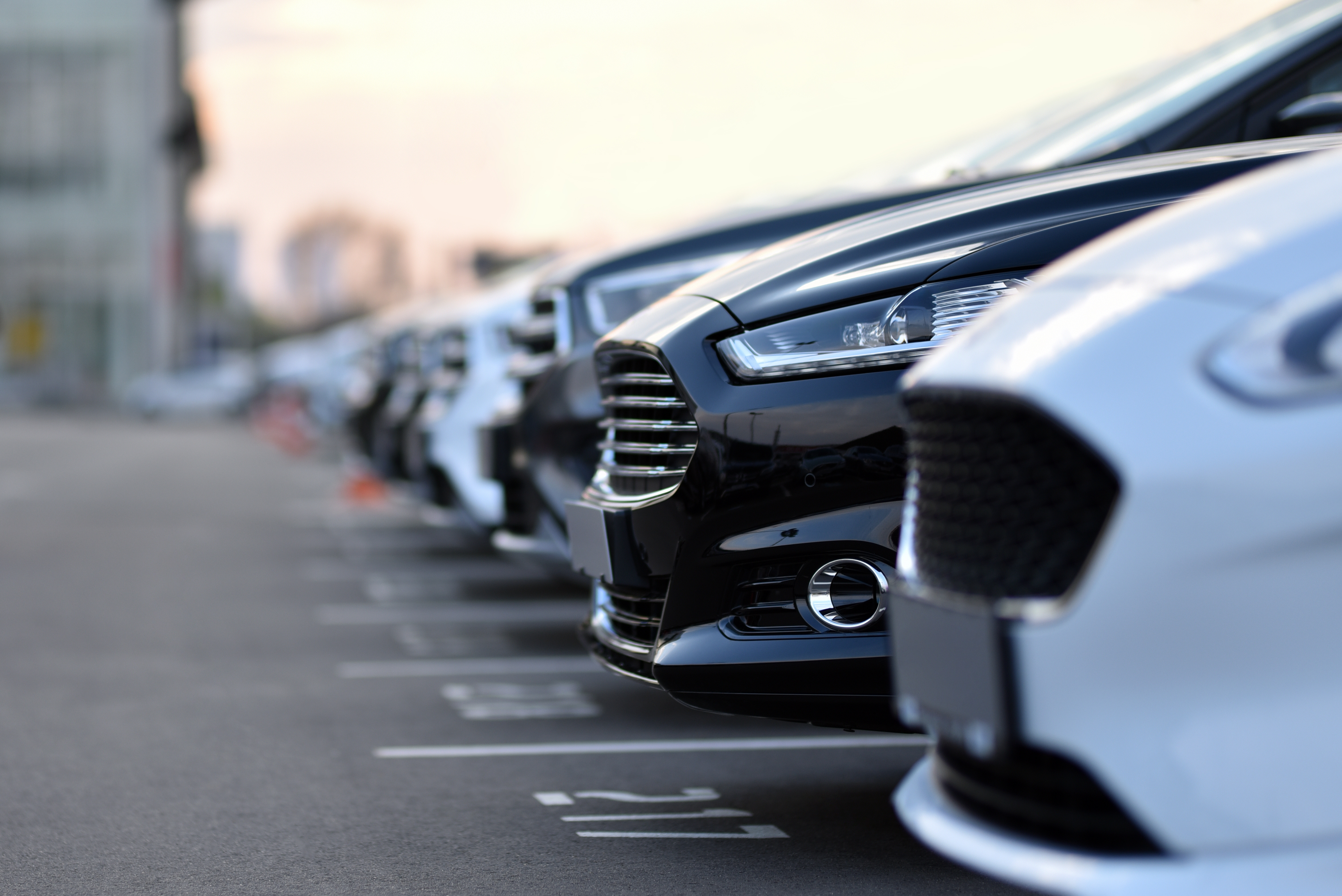 редови црно-белих аутомобила на паркингу који чекају на продају
