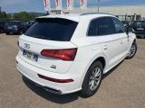 Audi 2.0 TDI 163 QTT S TRONIC 7 BUSINESS EXEC Q5 Business Executive quattro 2.0 TDI 165CV BVA7 E6 #1