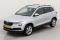 preview Skoda Karoq #0