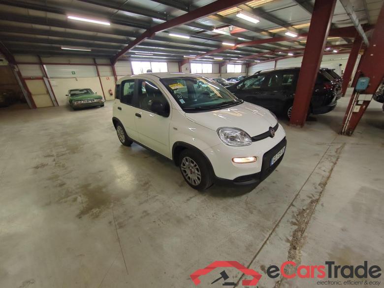 PANDA 1.0 70CV #2