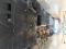 preview Volkswagen Crafter #4