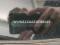 preview Volkswagen up! #1
