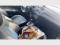 preview Seat Ibiza #1