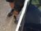 preview Renault Trafic #0