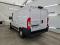 preview Fiat Ducato #1
