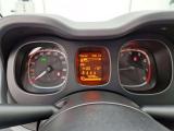 FIAT Panda 1.0 Hybrid City Life #4