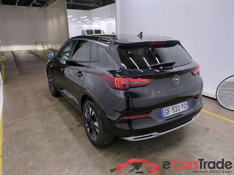 Grandland X Elegance Business 1.5 130CV BVA8 E6d #4