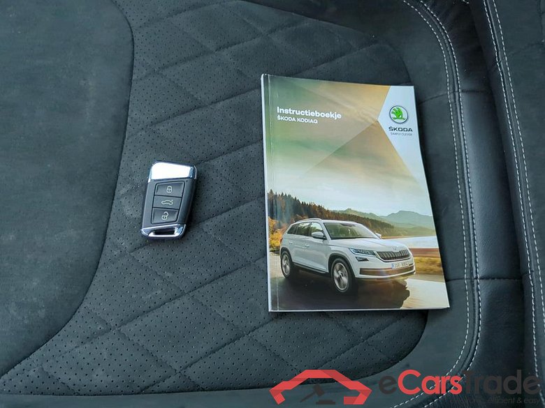 SKODA Kodiaq 110 kW #5