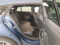 preview Mercedes CLA Shooting Brake #5