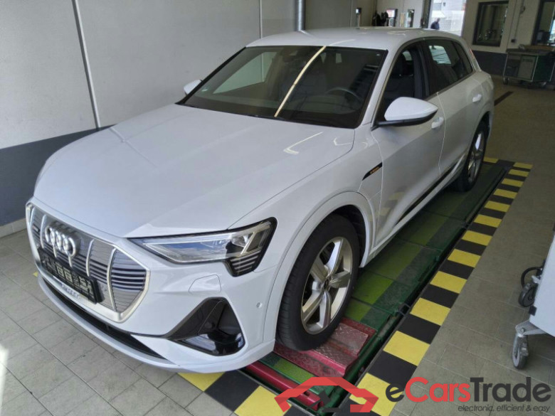 Audi e-tron (GEN)(01.2019->) DE - SUV5 50 quattro, S line, 2019 - 2023 #1