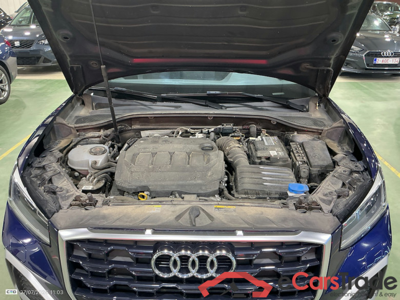 AUDI Q2 2.0 30 TDI S TRONIC ADVANCED BUSINESS ED #6