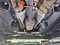 preview Ford Fiesta #4