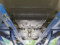 preview Skoda Karoq #4