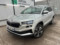 preview Skoda Karoq #0