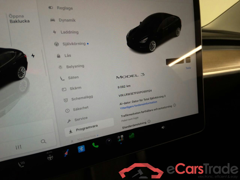Model 3 RWD #6