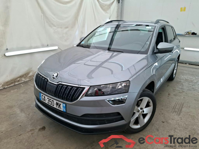 Karoq Business 2.0 TDI 115CV BVA7 E6d #1