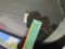 preview Fiat Panda #3