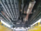 preview Ford Ranger #4