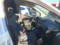 preview Ford Transit #5