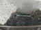 preview Seat Ibiza #1