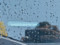 preview Volkswagen Taigo #1