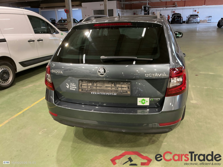 SKODA OCTAVIA COMBI - 2017 1.5 TGI G-TEC Ambition DSG CNG #5