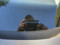 preview Volkswagen Golf #1