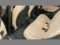preview BMW X1 #4