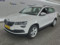preview Skoda Karoq #0