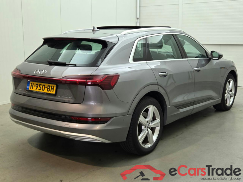 AUDI e-tron e-tron 50 quattro Launch edition plus 71 kWh #4
