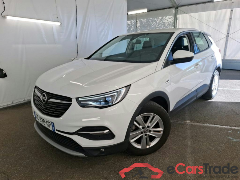 Grandland X Elegance Business 1.5 130CV BVA8 E6d #1